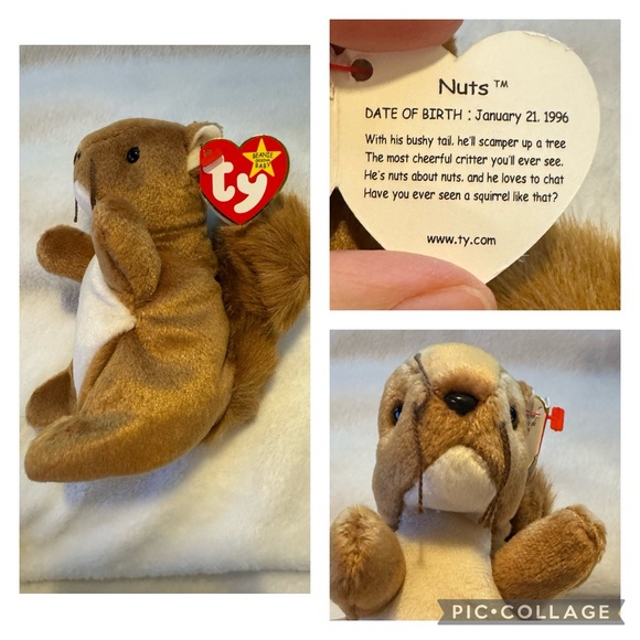 Set of 5 Beanie Babies from 1996 and 1997 with original hang tags - Picture 8 of 10